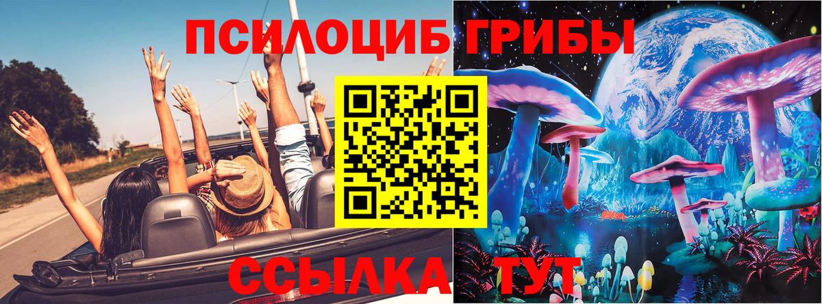 Ишим  Псилоцибиновые грибы Psilocybe  Вход с VPN 
